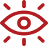 vision
